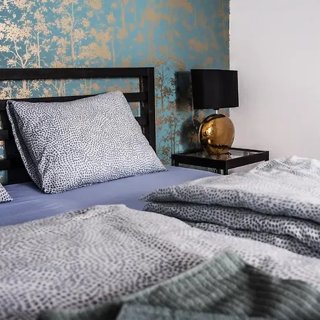 Dohany Street Delight Apartament Budapeszt